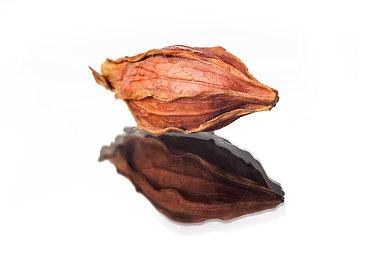 经典手游《点阵僵尸》登陆全平台 追加多项新要素